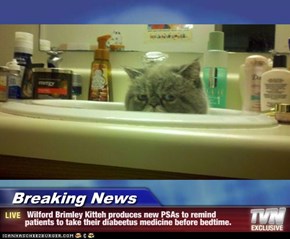 Breaking News -  Wilford Brimley Kitteh produces new PSAs to remind patients to take their diabeetus medicine before bedtime.