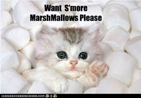 Want  S'more  MarshMallows Please