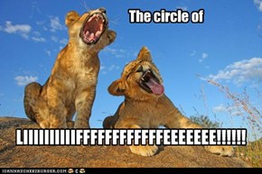 The circle of