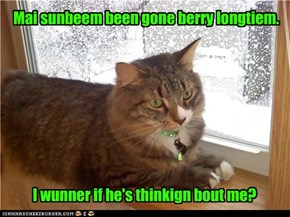 Mai sunbeem been gone