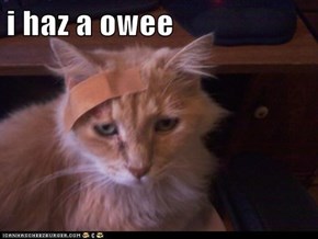 i haz a owee