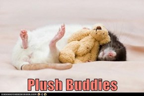 Plush Buddies