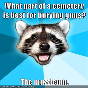 What part of a cemetery is best for burying guns?  The muzzleum.