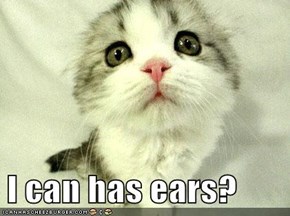 I can has ears?
