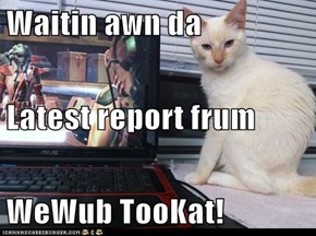 Waitin awn da Latest report frum WeWub TooKat!