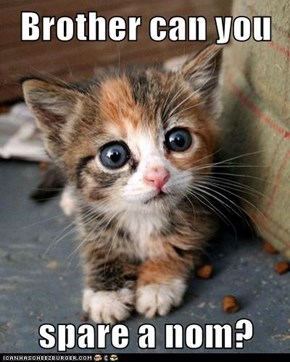 Brother can you   spare a nom?
