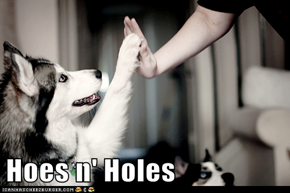 Hoes n' Holes