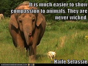It is much easier to show compassion to animals. They are never wicked.    - Haile Selassie