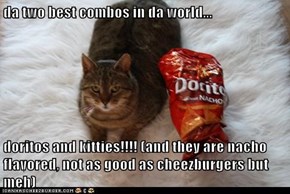 da two best combos in da world...  doritos and kitties!!!! (and they are nacho flavored, not as good as cheezburgers but meh)