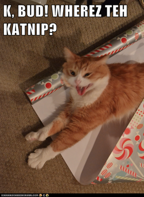 K, BUD! WHEREZ TEH KATNIP?