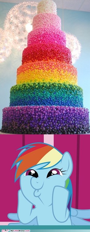 Rainbow Dash approves