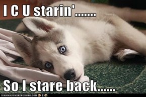 I C U starin'.......  So I stare back......