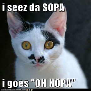 i seez da SOPA  i goes "OH NOPA"