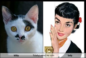 kitty Totally Looks Like lady
