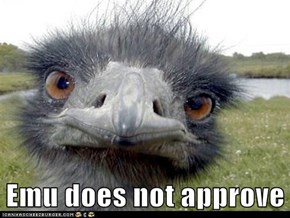 Emu does not approve