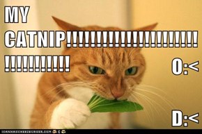 MY CATNIP!!!!!!!!!!!!!!!!!!!!!!!!!!!!!!!!! O:< D:<