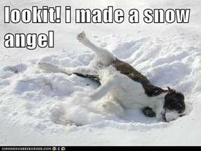 lookit! i made a snow angel