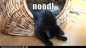 noodl