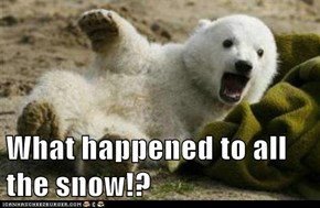 What happened to all the snow!?