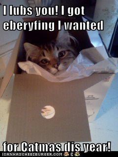 I lubs you! I got eberyfing I wanted  for Catmas dis year!