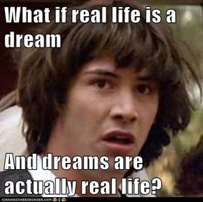 What if real life is a dream  And dreams are actually real life?