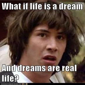 What if life is a dream  And dreams are real life?