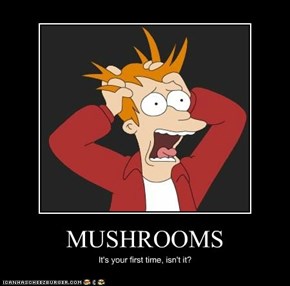 MUSHROOMS