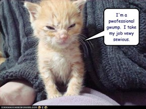 I'm a pwofessional gwump.