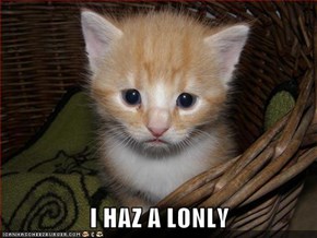 I HAZ A LONLY