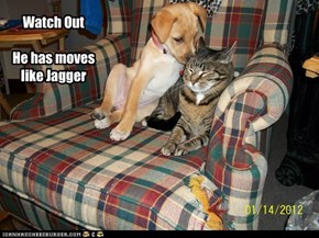 Watch OutHe has moveslike Jagger