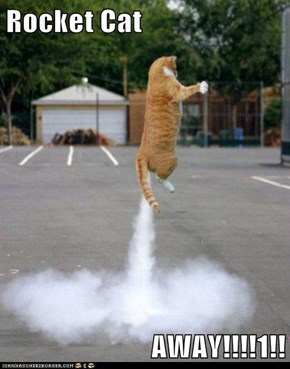 Rocket Cat   AWAY!!!!1!!