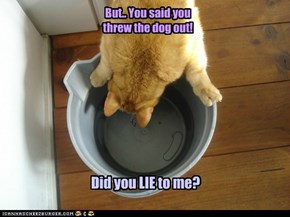 But.. You said you threw the dog out!