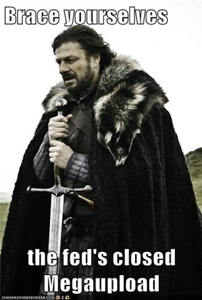 Brace yourselves  the fed's closed Megaupload