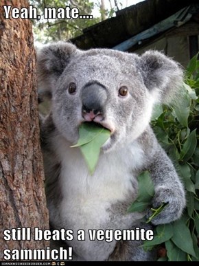 Yeah, mate....  still beats a vegemite sammich!