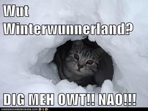 Wut Winterwunnerland?  DIG MEH OWT!! NAO!!!