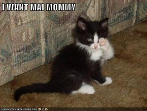 I WANT MAI MOMMY
