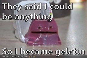 They said I could be anything  So I became gelatin