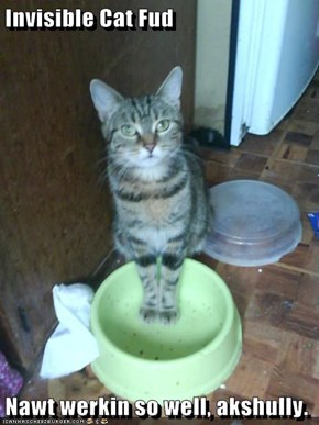 Invisible Cat Fud  Nawt werkin so well, akshully.