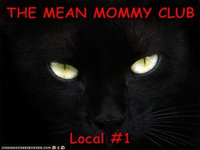 THE MEAN MOMMY CLUB  Local #1