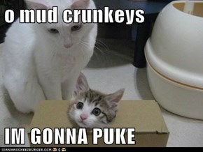 o mud crunkeys  IM GONNA PUKE