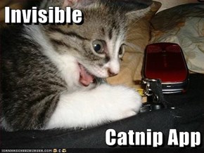 Invisible  Catnip App