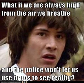 What if we are always high from the air we breathe  and the police won't let us use drugs to see reality?