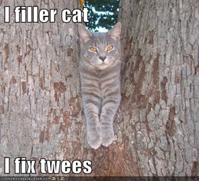 I filler cat  I fix twees