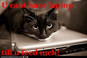 U cant have laptop  till u feed meh!