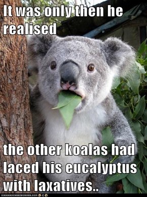 It was only then he realised  the other koalas had laced his eucalyptus with laxatives..