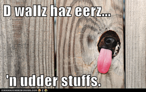 D wallz haz eerz...   'n udder stuffs.