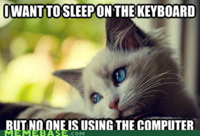 Cat World Problems