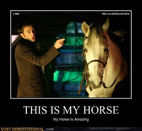 THIS IS MY HORSE