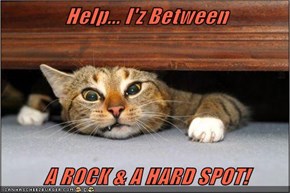 Help... I'z Between  A ROCK & A HARD SPOT!