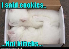 I said cookies..  ...Not kittehs...
